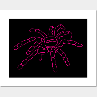 Pink Spider Posters and Art